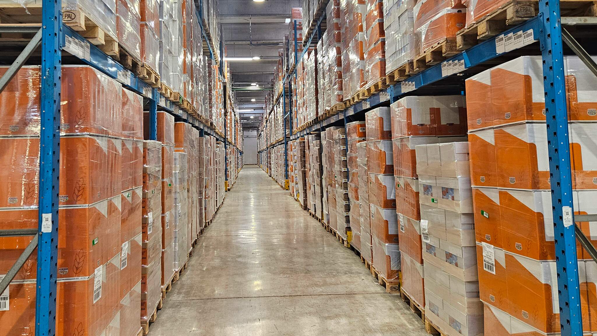 Magazzino della filiale DACHSER & FERCAM di Perugia